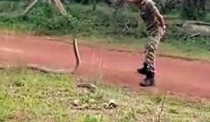 Un brave soldat malaisien attrape le cobra royal