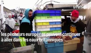« Les fêtes de Noël arrivent et si on bloque…. » : les pêcheurs français menacent de durcir le ton sur les licences de pêche