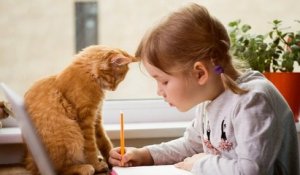 Indre : Une école primaire adopte deux chatons pour responsabiliser les élèves