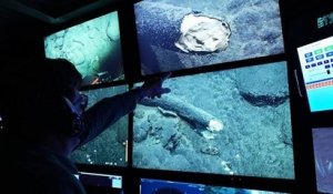 Océan Pacifique : une défense de mammouth a été retrouvée à 3000 mètres de profondeur en Californie