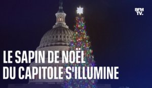 Les images de l’illumination de "Sugar Bear", le sapin de Noël de 25 mètres de haut du Capitole