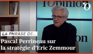 Pascal Perrineau: «Zemmour est enfermé dans le rôle de la victime»