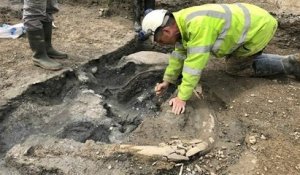 Des archéologues ont découvert un « cimetière de mammouths » vieux de 220 000 ans en Angleterre
