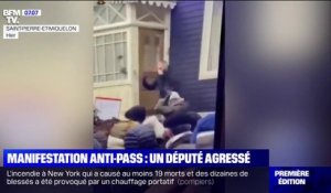 Le député LaREM de Saint-Pierre-et-Miquelon agressé devant son domicile lors d'une manifestation anti-pass