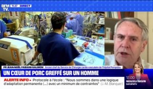 Est-il vrai qu'un humain vit aujourd'hui grâce à un cœur de porc génétiquement modifié? BFMTV répond à vos questions