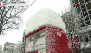 Tempêtes de neige dans le nord du Japon