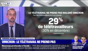 Seuls 29% des actifs français ont télétravaillé la première semaine de janvier