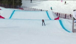 Naeslund survole les débats - Skicross (F) - Coupe du monde