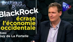 Politique & Eco n°327 avec Guy de La Fortelle - BlackRock : la nébuleuse du scandale (1ère partie)