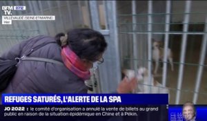 Avec 7.200 animaux en attente d'adoption, les refuges de la SPA saturés