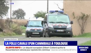 Toulouse: évadé d’un hôpital psychiatrique, le "cannibale des Pyrénées" agresse une femme de 73 ans