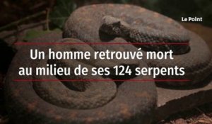 Un homme retrouvé mort au milieu de ses 124 serpents