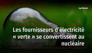 Les fournisseurs d’électricité « verte » se convertissent au nucléaire
