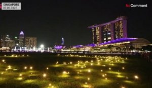 A Singapour, un festival pour mettre en lumière le développement durable