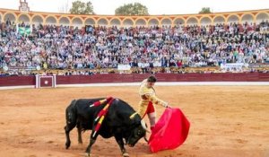 Les corridas désormais interdites dans les arènes de Mexico, les plus grandes du monde