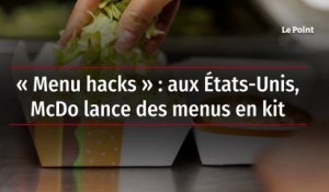 « Menu hacks » : aux États-Unis, McDo lance des menus en kit