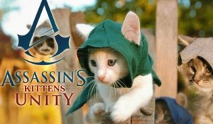 Assassin's Creed Unity : et si les assassins étaient des chatons ?