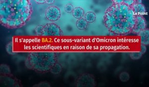 Ce sous-variant d’Omicron qui pourrait compliquer la sortie de crise