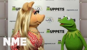 Miss Piggy and Kermit run through their top 5 musical duos