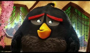 Angry Birds - Trailer