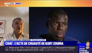 "C'est un délit": la SPA va porter plainte contre Kurt Zouma pour maltraitance animale