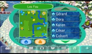 Animal Crossing : Let's Go to the City online multiplayer - wii