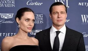 Brad Pitt accuse Angelina Jolie d'avoir revendu les parts qu'elle détient de leur domaine viticole