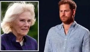 Le prince Harry a averti que la saleté sur Camilla "pourrait en fait l'aider"