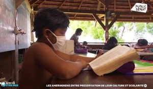 Les amerindiens entre préservation de le culture et scolarité - Positive Outre-mer (06/03/2022)