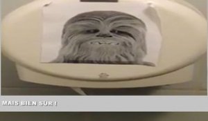 Zapping Web : Chewbacca dans vos toilettes, un bébé génie et des chiens surfeurs !