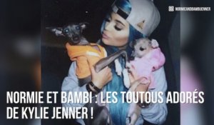 INSTACUTE : Normie et Bambi : Les toutous adorés de Kylie Jenner !