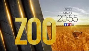 Zoo - Un froid de loup + Nuées sur Rio + Mauvais œil - 08/12