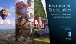 des racines et des ailes - Des monts du Beaujolais aux monts d'Ardèche- 02/12