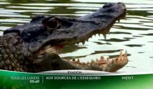 Aux sources de l'Essequibo - Ushuaïa TV