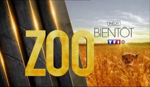 Zoo - teaser bientot TF1