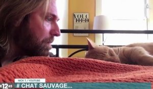 Le zapping du 13/12 : Il se venge de son chat qui le réveille toutes les nuits