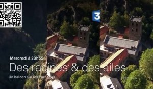Des racines et des ailes -Un balcon sur les Pyrénées  FRANCE 3 - 15 11 17