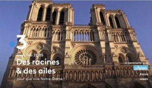 Des racines & des ailes (France 3) Pour que vive Notre-Dame