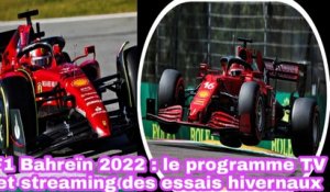 F1 Bahreïn 2022: Le Programme TV Et Streaming Des Essais Hivernaux