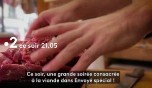 La spéciale d'Envoyé (France 2) Un monde sans viande ?