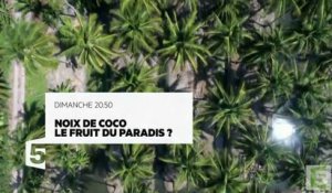 Noix de coco, le fruit du paradis - 10 09 17 - France 5