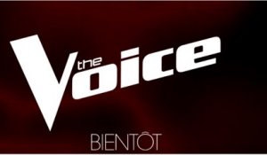 The Voice : La Plus Belle Voix saison 8 B.A.