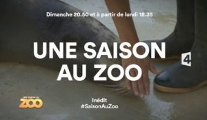Une Saison au zoo - 30/08/15