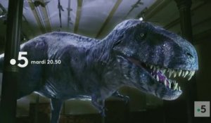 La vérité sur le T-Rex - france 5 - 05 06 18