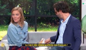 La quotidienne (France 5) : Un chien troue la jupe de l'animatrice