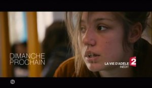 La vie d'Adèle - France 2
