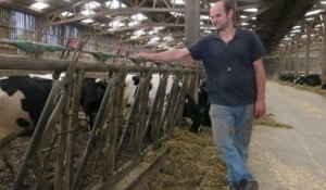 Oise : un éleveur condamné à verser 102 000 euros à ses voisins dérangés par le bruit et l'odeur de ses vaches