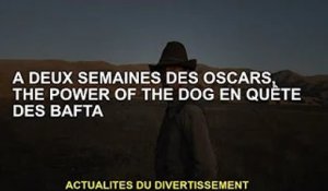 Deux semaines avant les Oscars, Dog Power cherche les prix BAFTA