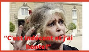 “C’est indécent et j’ai honte !” : Brigitte Bardot pousse un gros coup de gueule