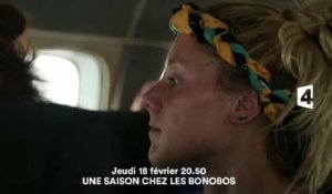 une saison chez les bonobos France 4- 18 02 16